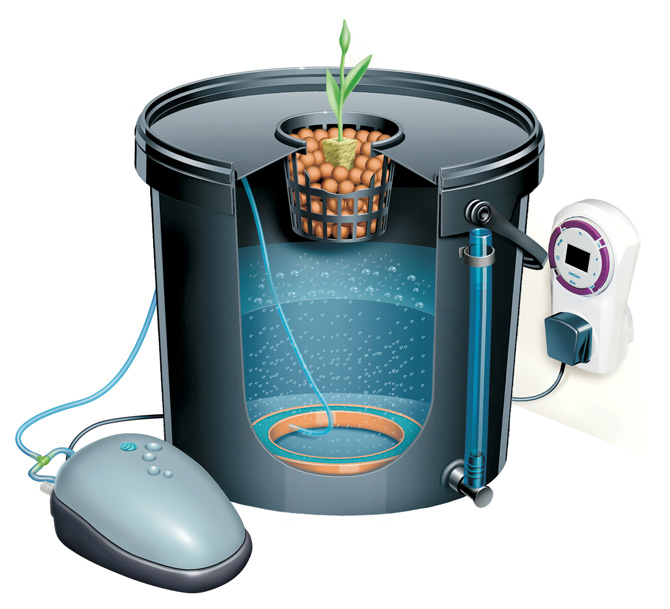 DWC(Deep Water Culture) Systems