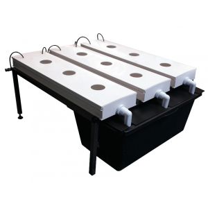 NFT System