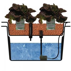 Ebb & Flod kopplingar