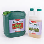 Canna Terra Vega