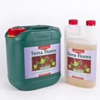 Canna Terra Flores