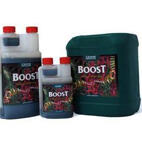 Canna Boost Accelerator
