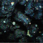 Gold Label Black Worm Castings